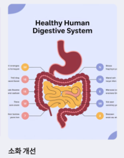 돼지감자차-사진6