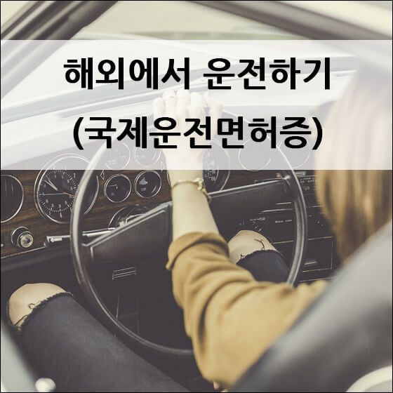 운전대를 잡고 있는 여성