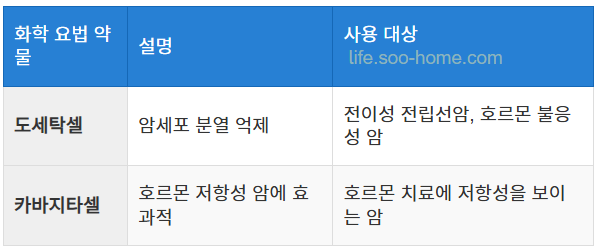 화학 요법과 항암제