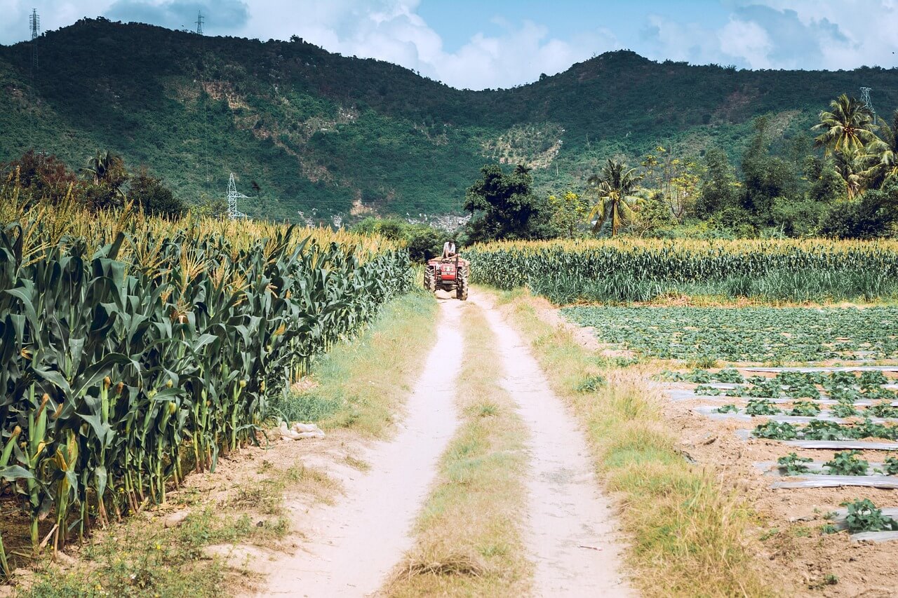 고향사랑기부제 연말정산