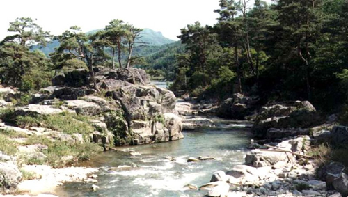 평창 가볼만한곳 