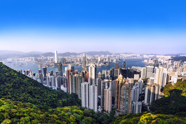 홍콩에서 꼭 먹어야 할 음식 BEST 7