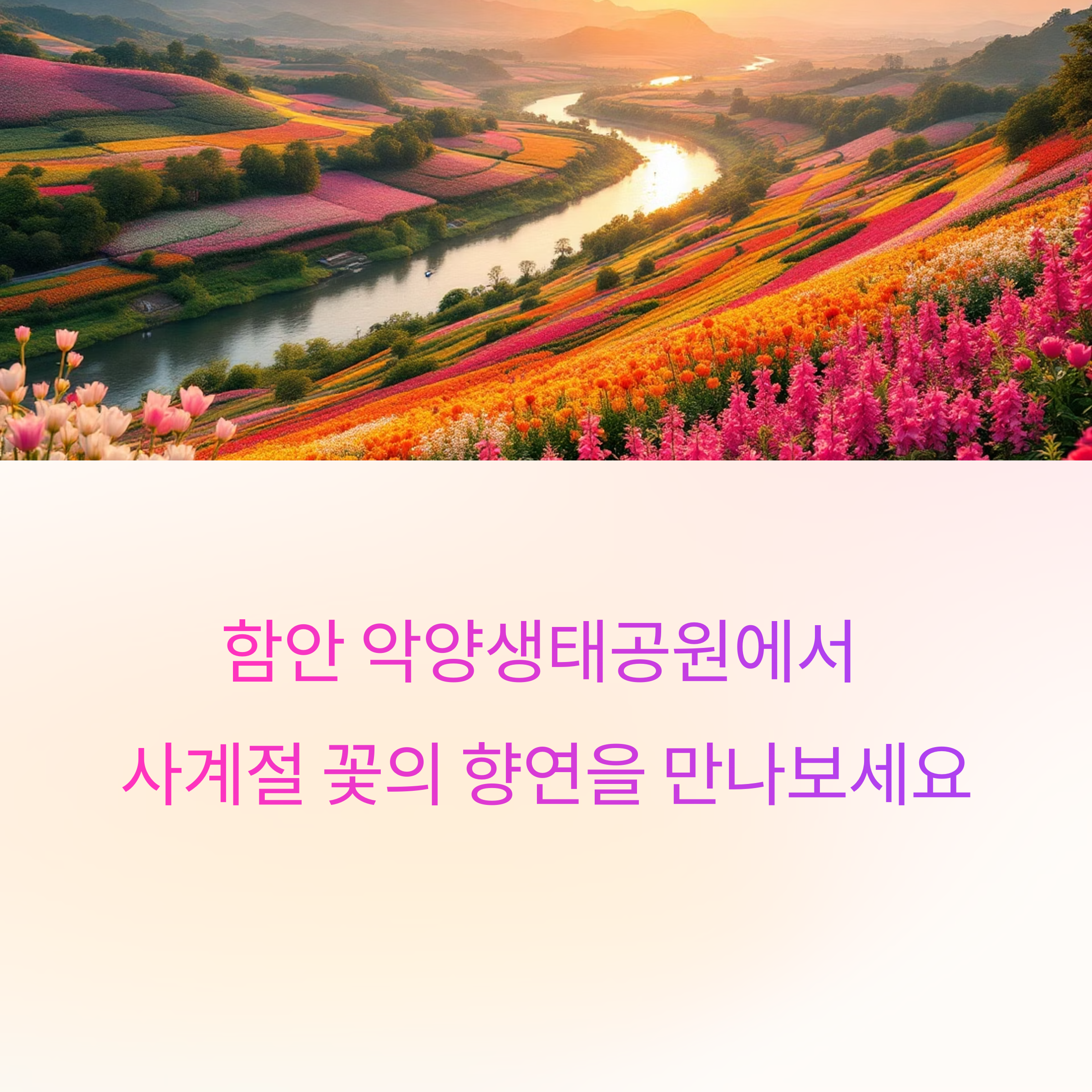 함안 악양생태공원 완벽 가이드