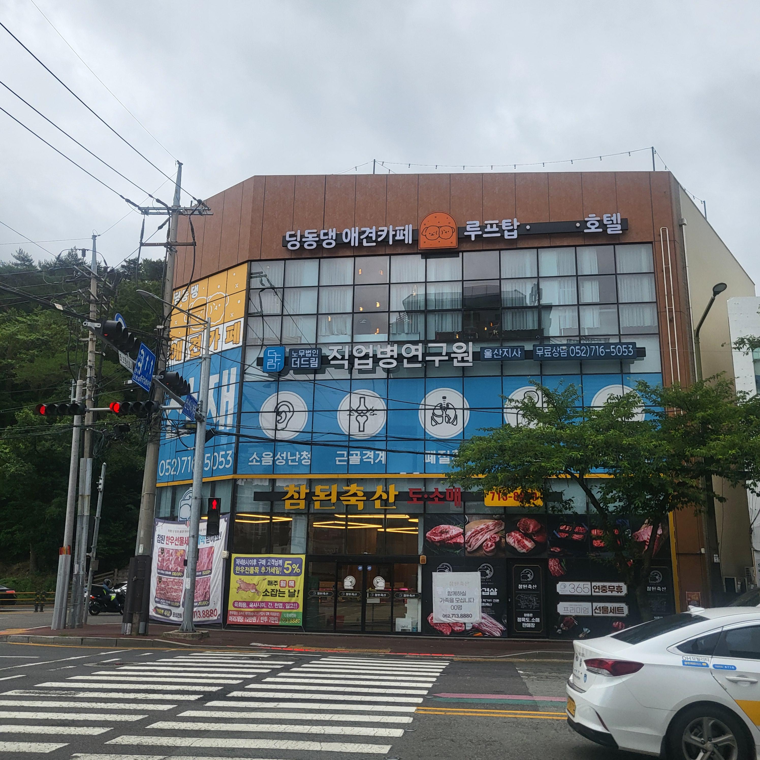 울산 애견 카페(딩동댕 애견카페)