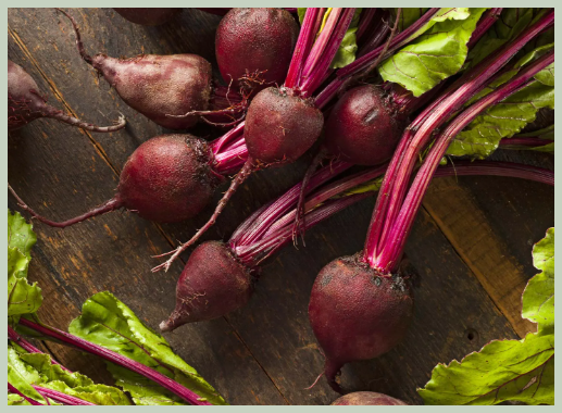 비트 효능 부작용