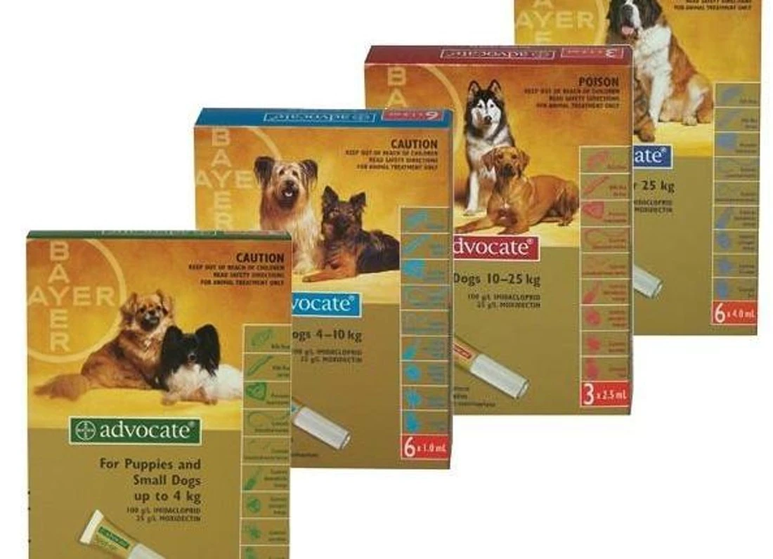 강아지-심장사상충약-애드보킷