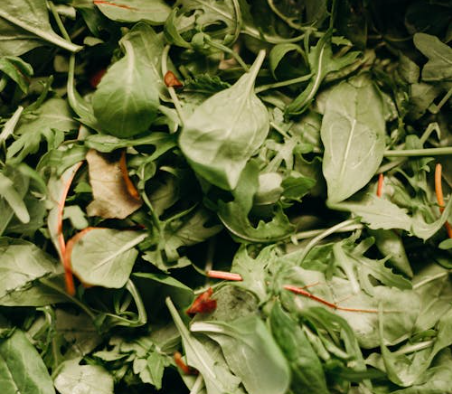 목에 좋은 음식