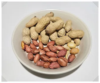 땅콩 효능 칼로리 권장섭취량_7