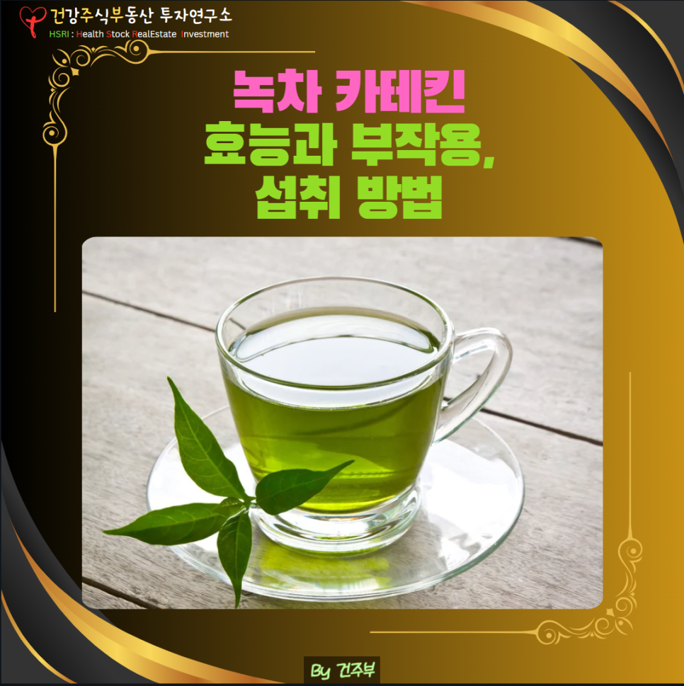 녹차 카테킨 효능과 부작용 그리고 섭취방법
(글 그림 : 건주부, 그림 출처 : Canva)