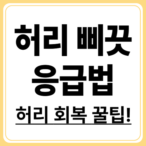 허리 삐끗했을 때 이렇게 하세요! 응급 대처와 회복법