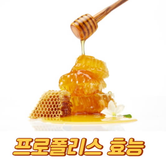 프로폴리스 효능