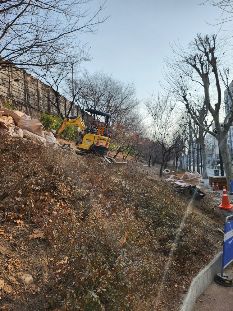 안전불감증
