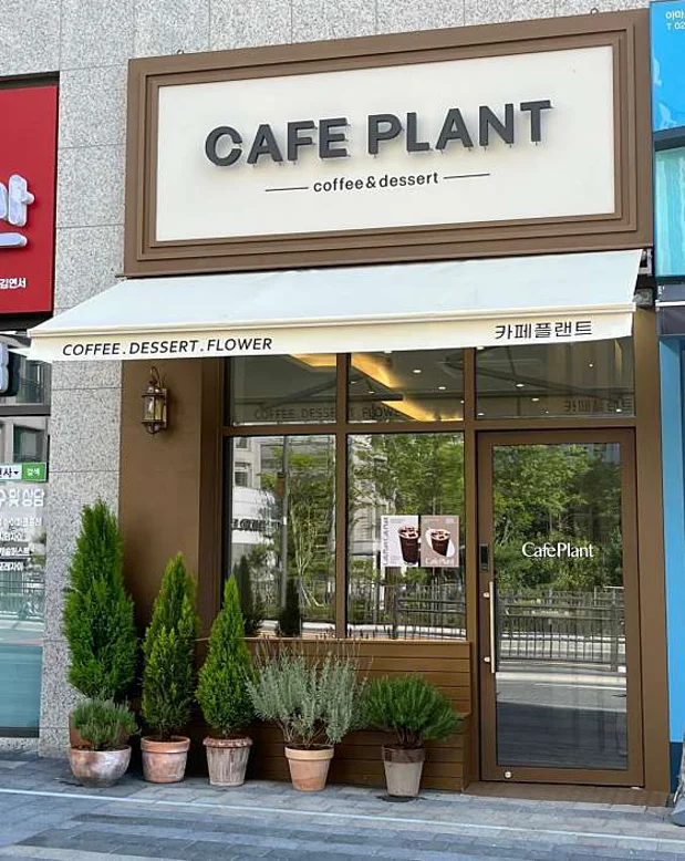 카페 플랜트