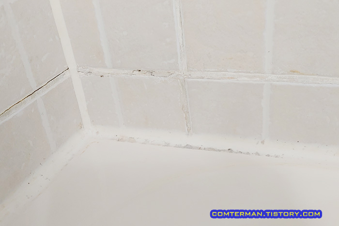 홈스타 곰팡이싹 곰팡이 제거 효과