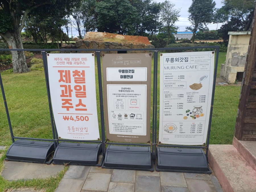 제주 올레길 12코스 가볼만한곳 , 무릉외갓집 방문 후기