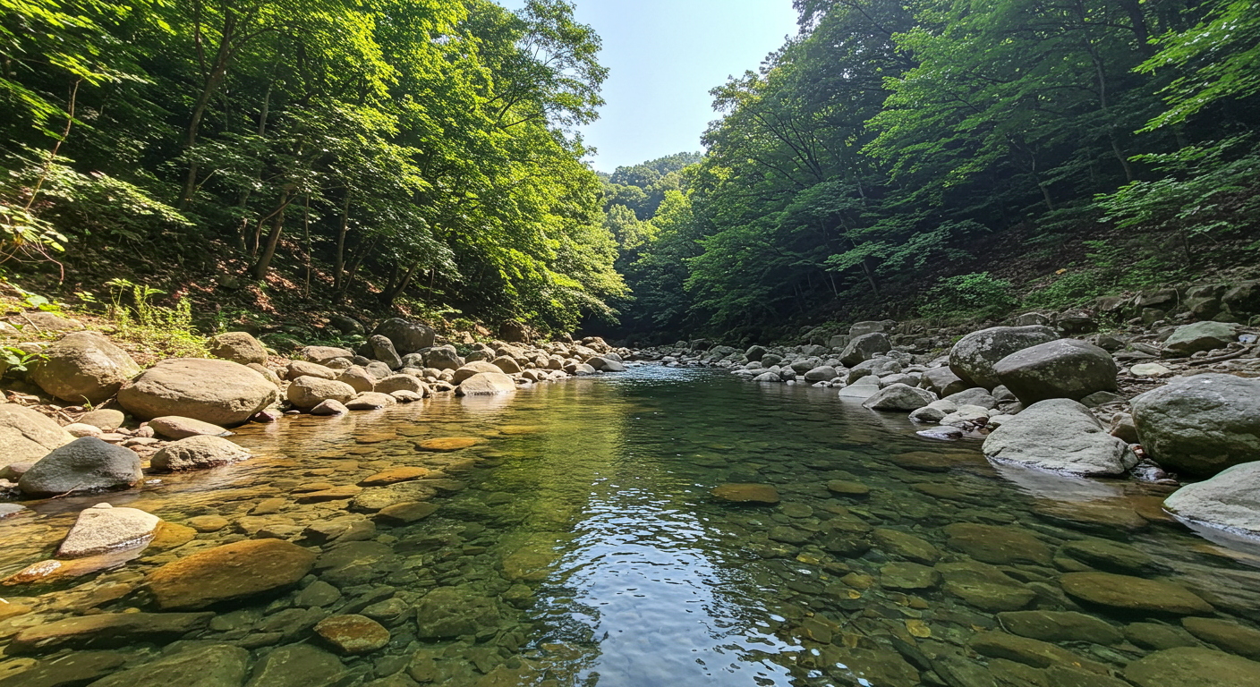 벽운계곡