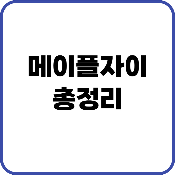 메이플자이