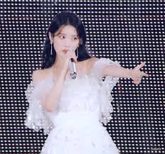 아이유 팬미팅 