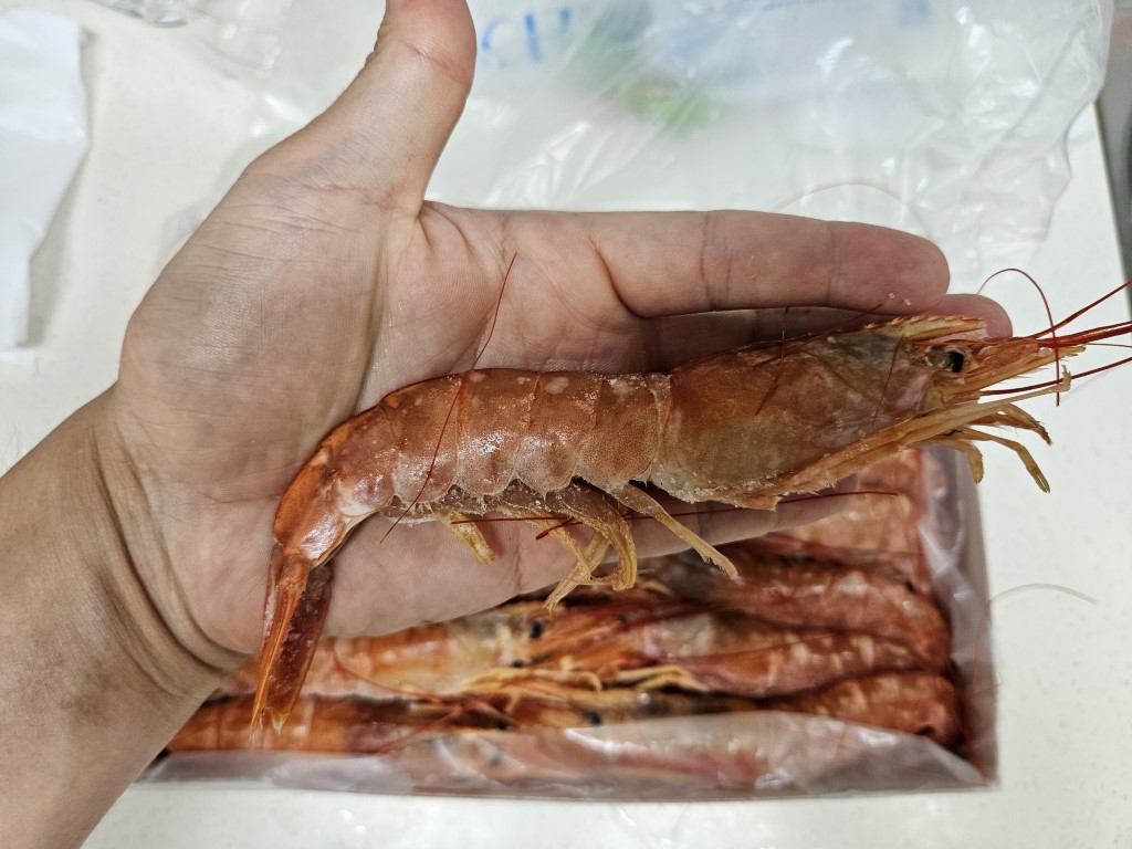 아르헨티나 L1 홍새우 크기