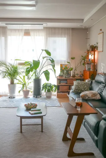 플랜테리어 거실 식물배치 물주기 습도관리 초보 인테리어 팁_45