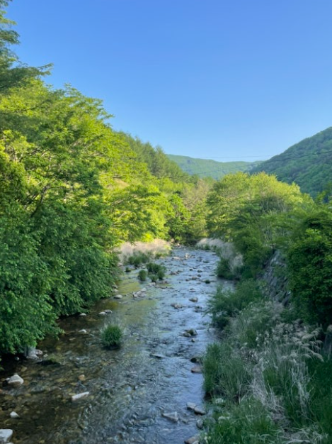 여름에는 평창 흥정계곡