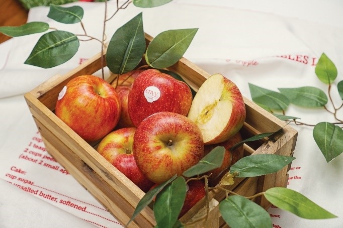 문경 사과 축제