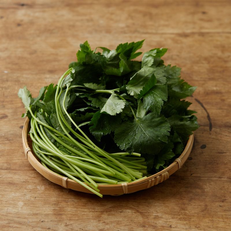 참나물로 만드는 저칼로리 건강 무침 레시피