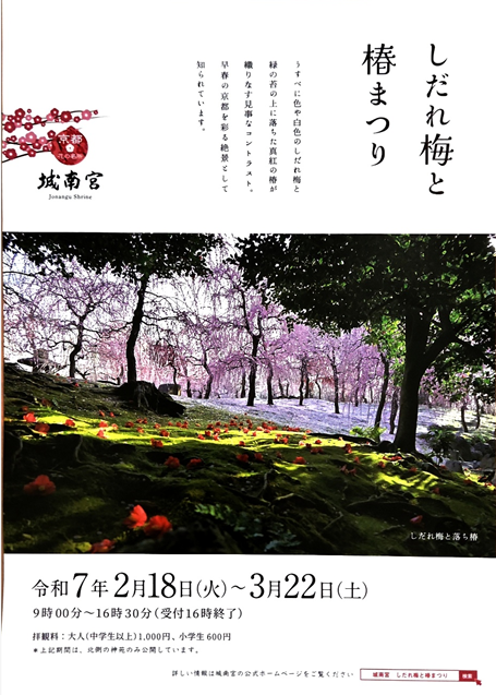 25년 매화와 동백꽃 축제 포스터 사진