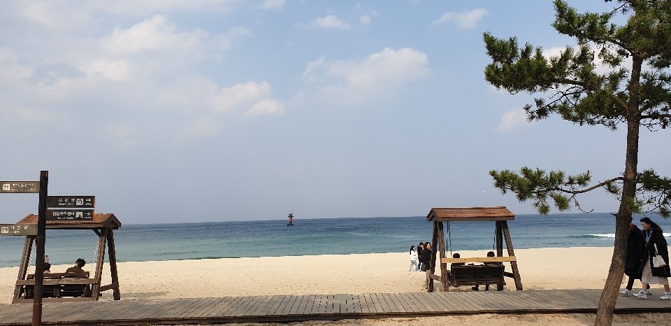 대체텍스트