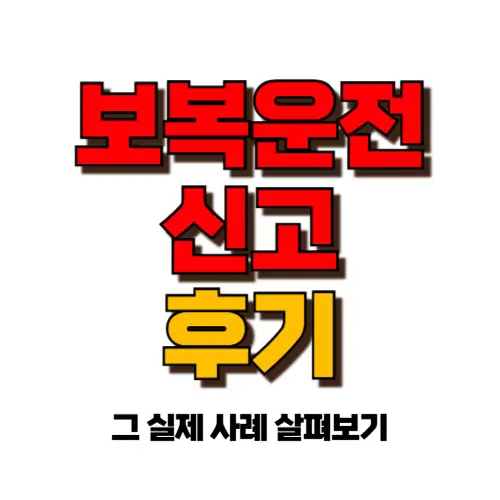 보복운전 신고 후기