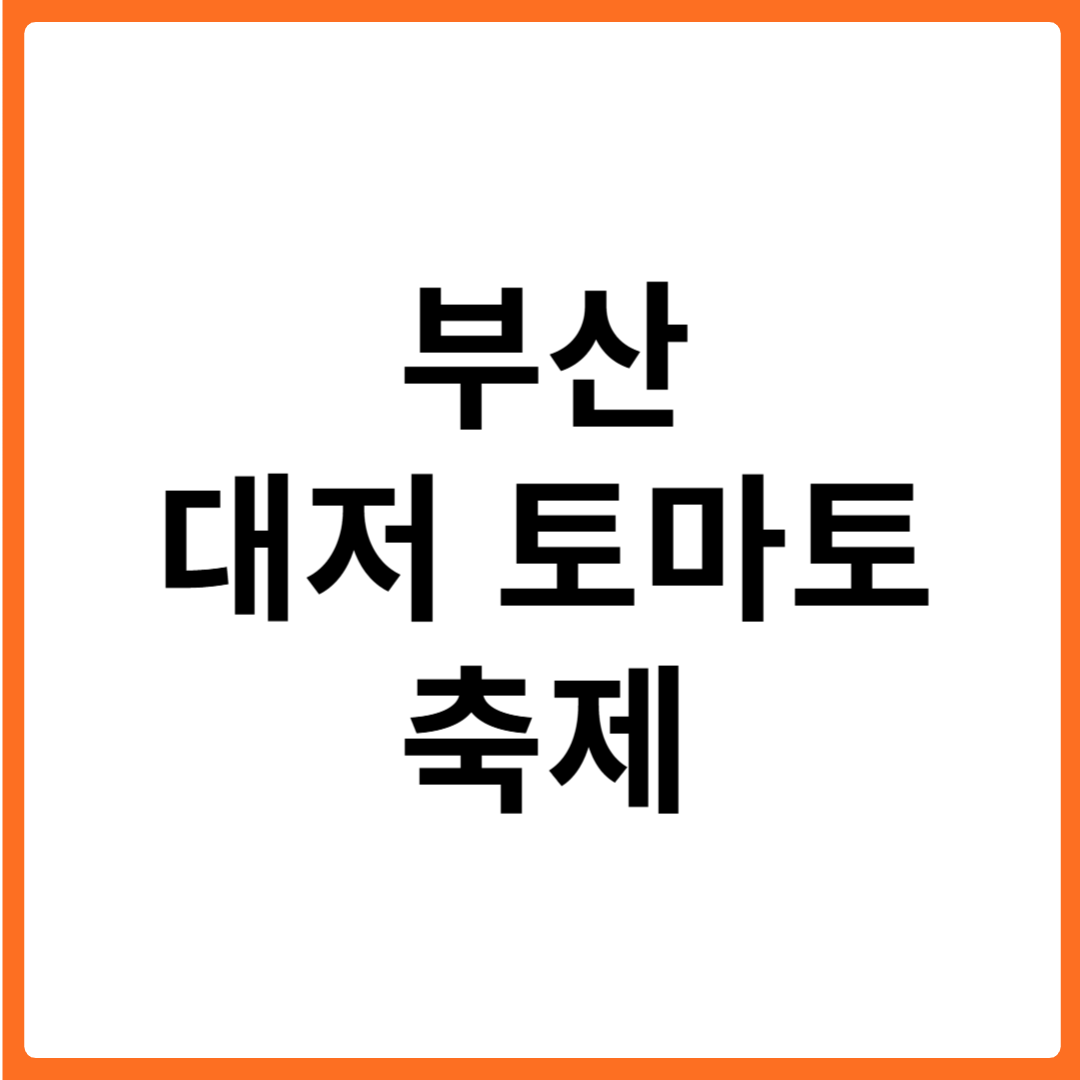 부산 대저 토마토 축제 2025 완벽 가이드