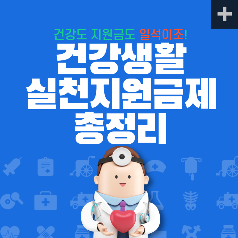 건강생활실천지원금제