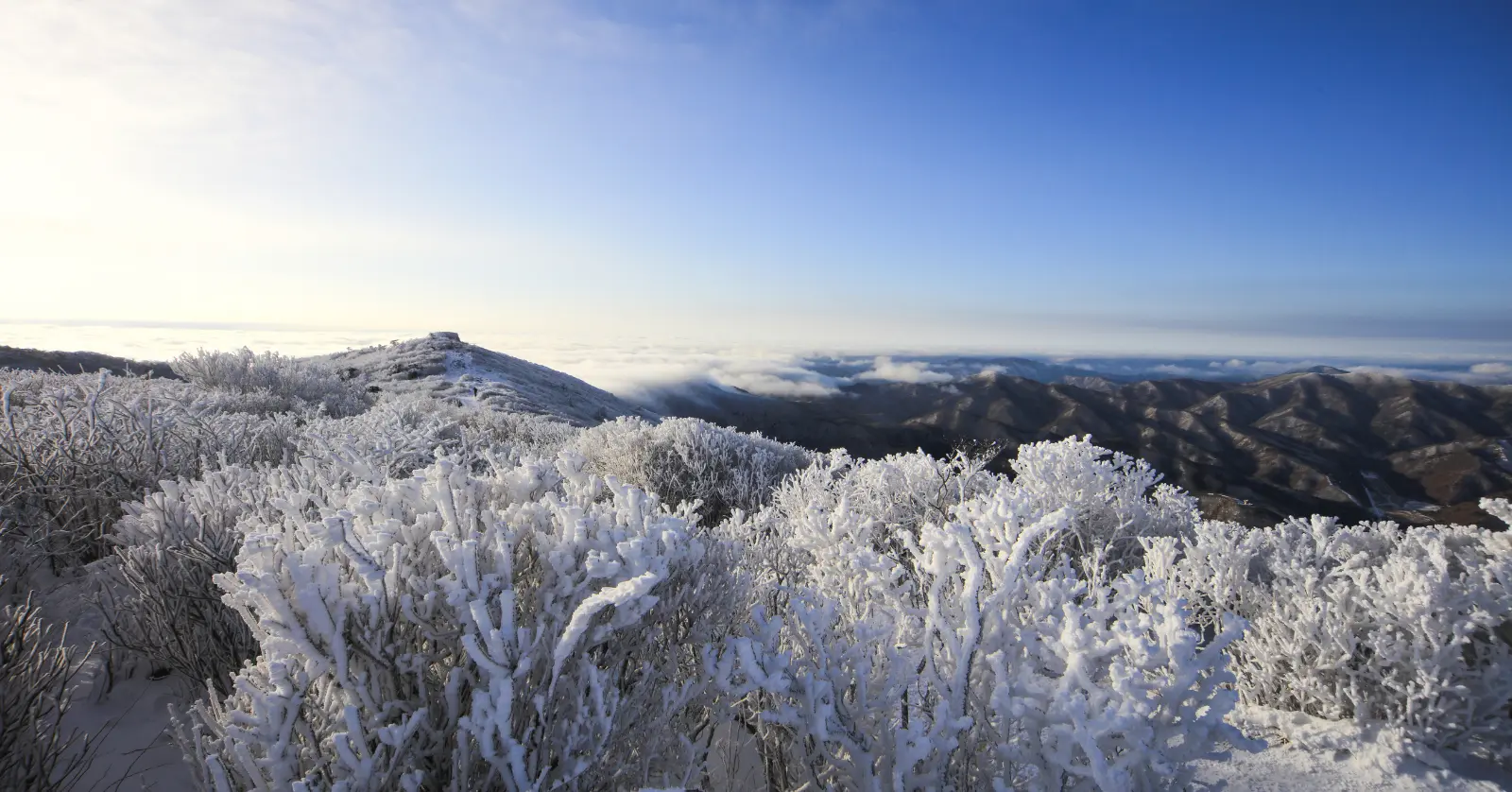 국립공원 실시간 CCTV 리스트