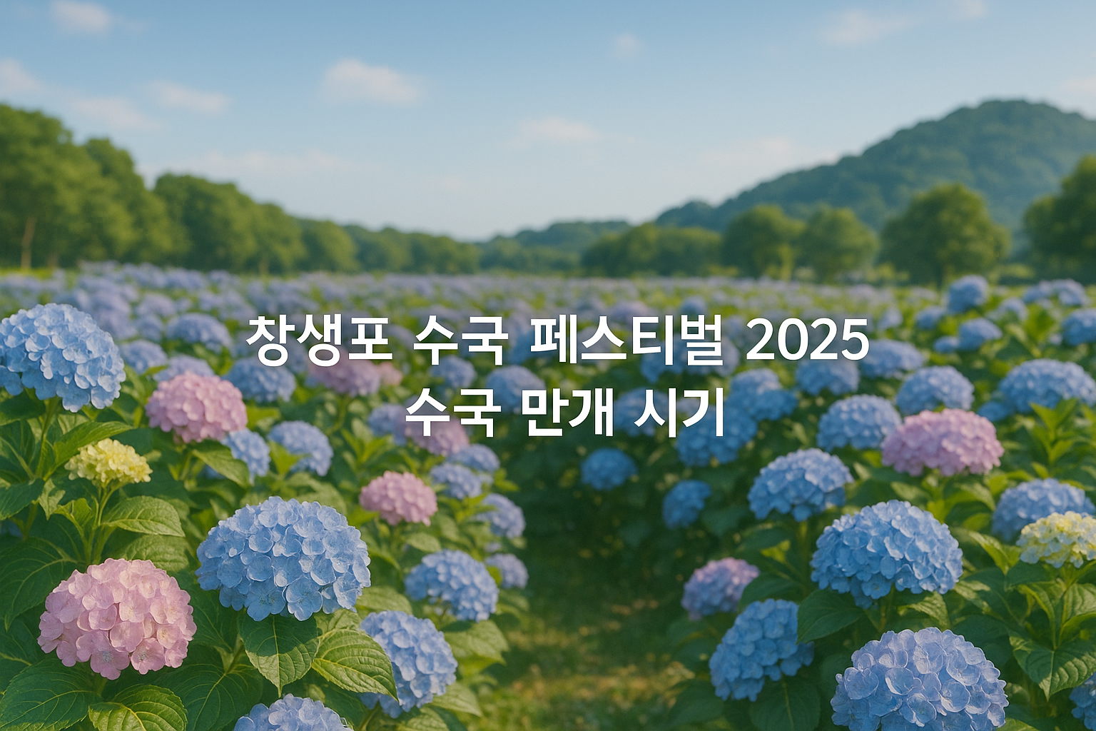 장생포 수국 페스티벌 2025, 수국 만개 시기