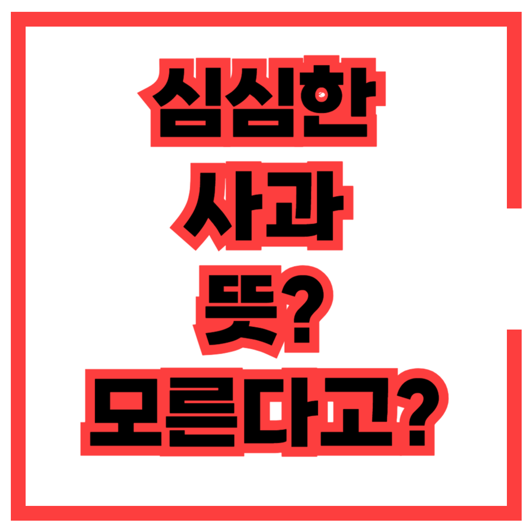 심심한 사과 뜻