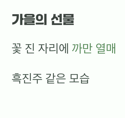 꽃이 진 뒤의 선물, 흑진주