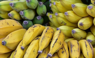 아침에 바나나를 먹으면 좋은 이유