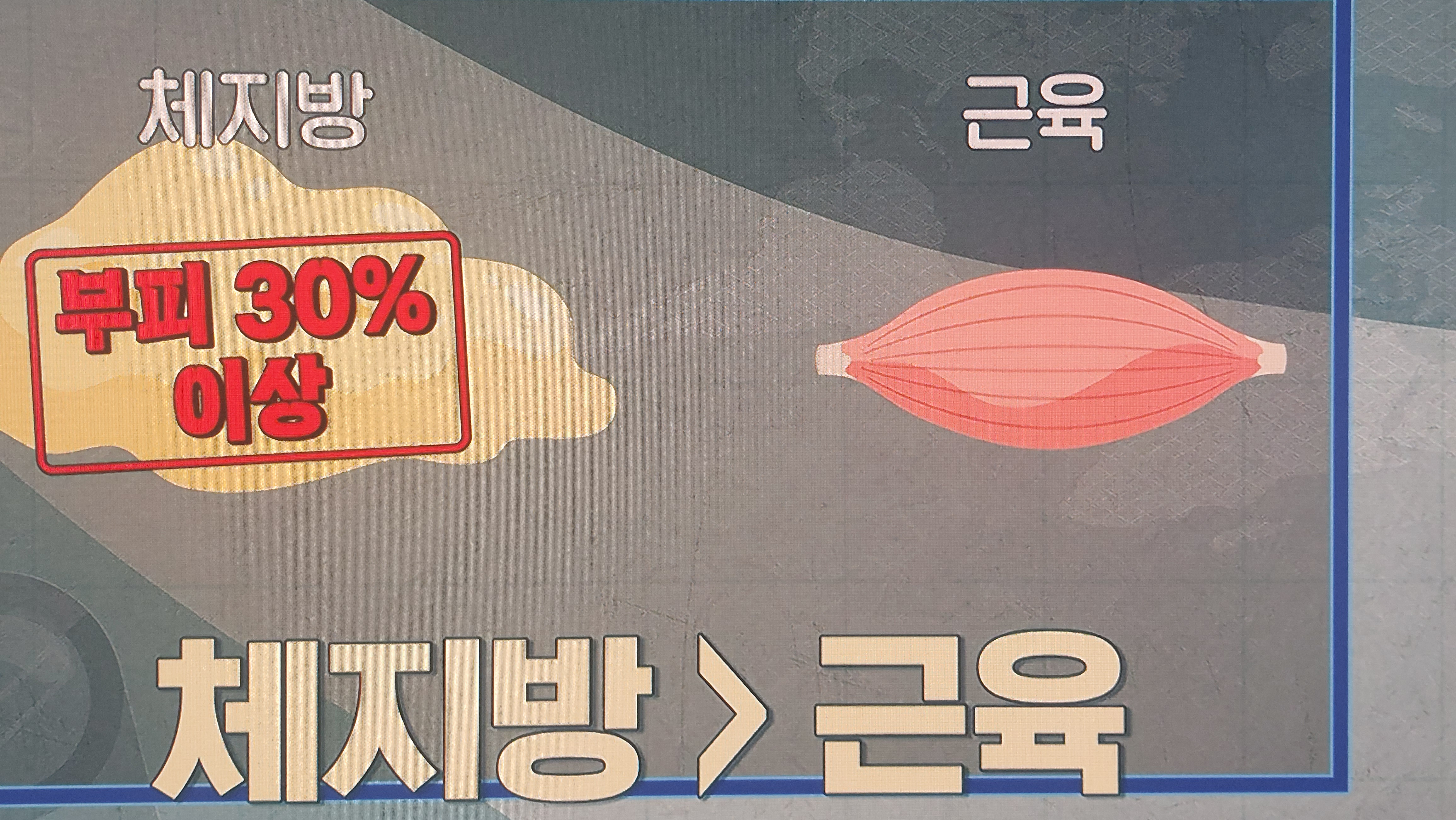 L-카르니틴