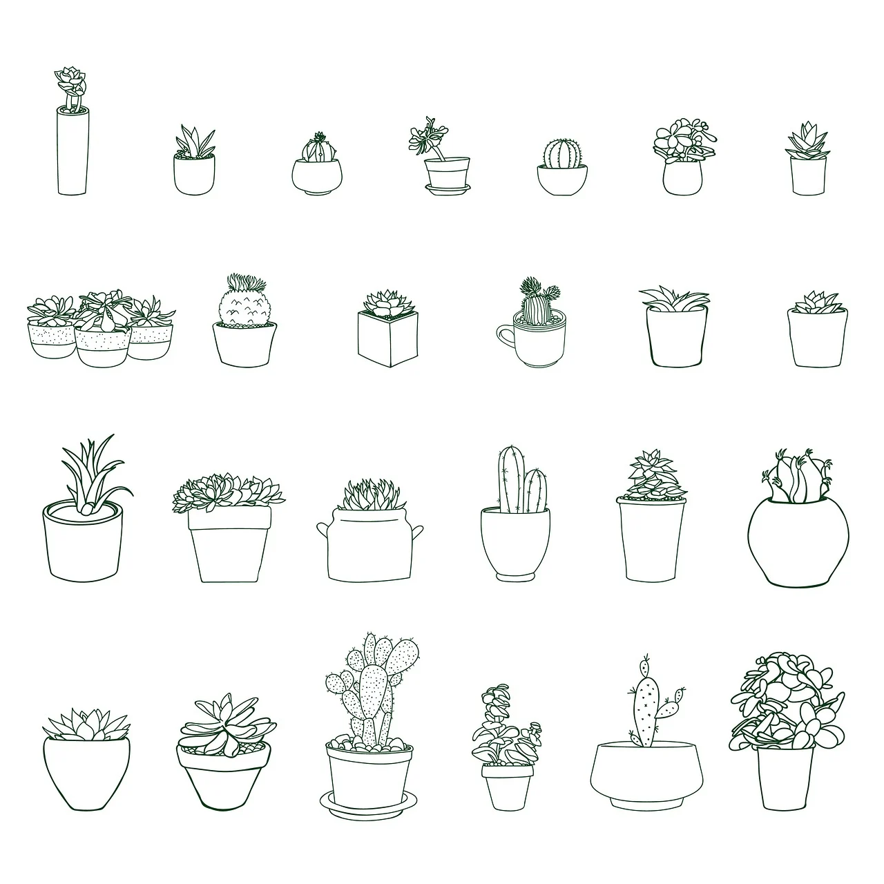 다양한 화분에 심어져 있는 다육식물 일러스트