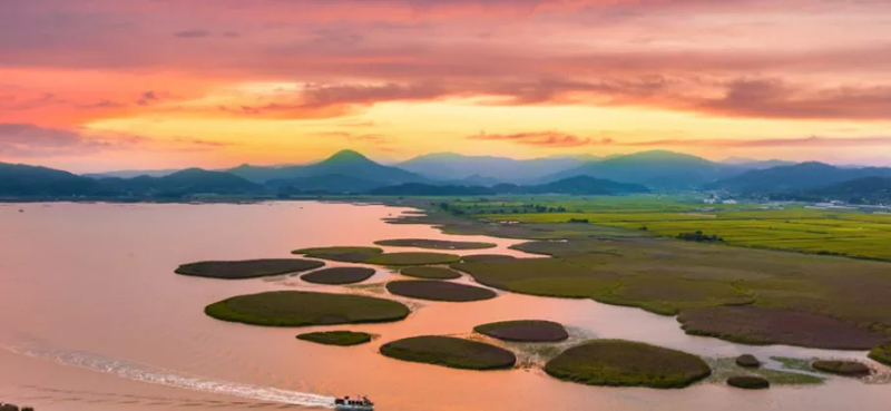 ๋
ธ์๋ก ๋ถ๊ฒ ๋ฌผ๋ ์์ฒ๋ง ์ต์ง ์ฌ์ง