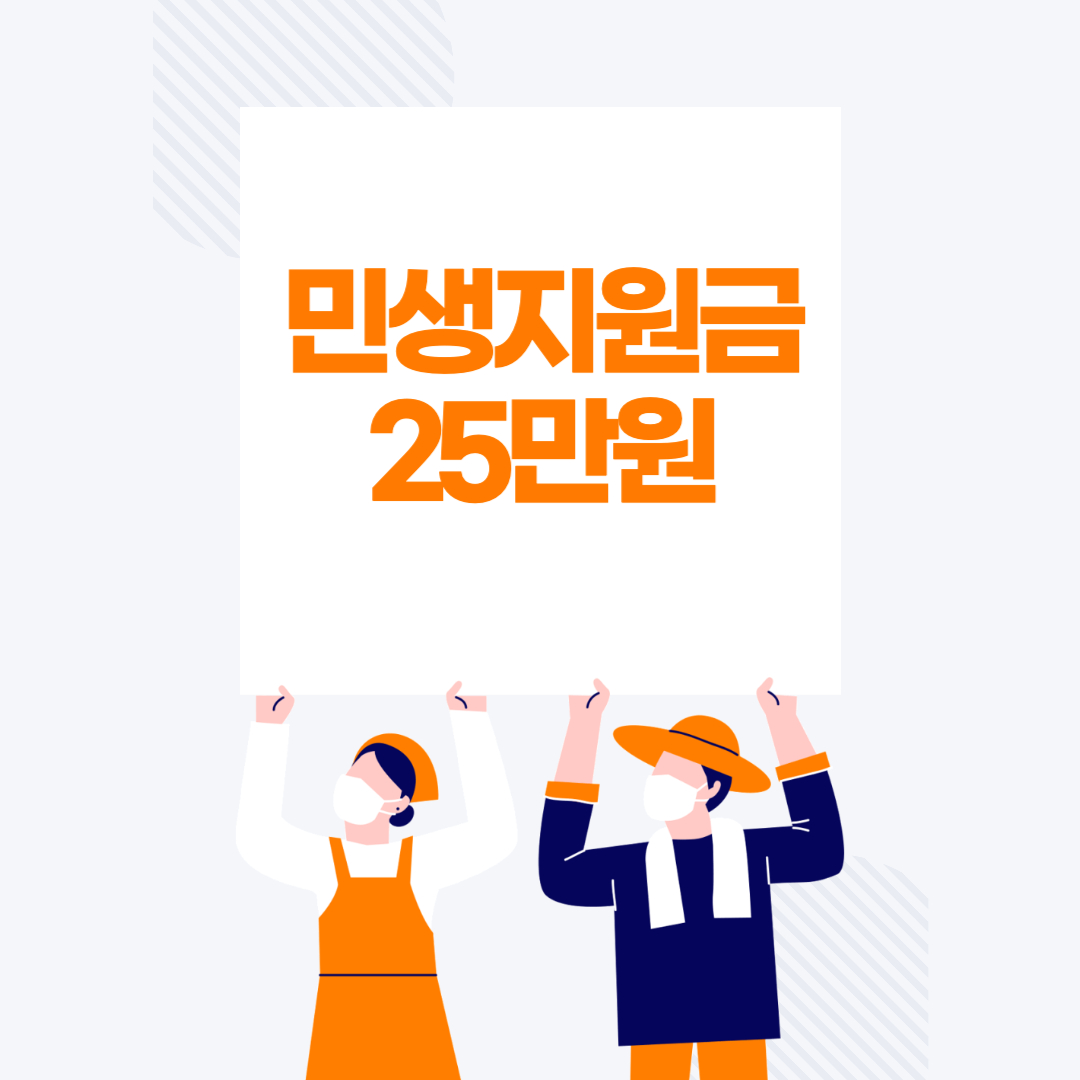 민생지원금25만원