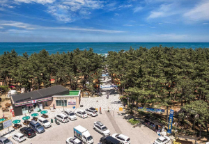 강원도 오토캠핑장