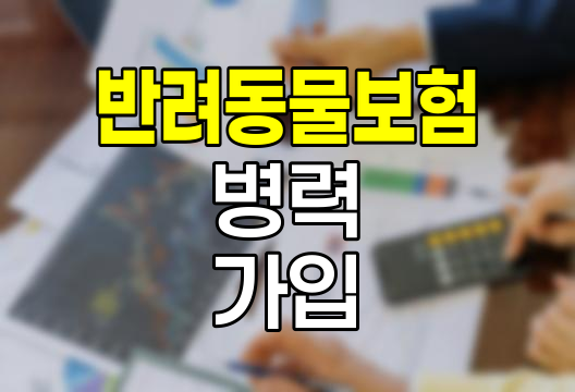 반려동물 보험 가입, 병력 있어도 가능한 새로운 흐름