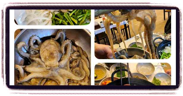 백반기행 당진 막회 산더미해물칼국수 후기