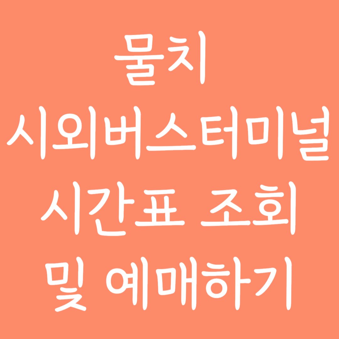 물치 시외버스터미널 시간표 조회 및 예매하기