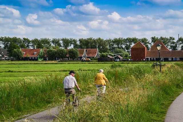 2025년 기준 60대 세금·절세 전략(연금·금융소득·건강보험료·부동산·상속세 절세)을 설명한 가이드