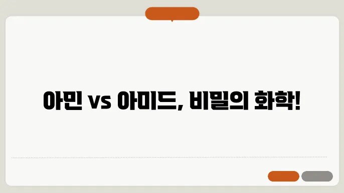 아민과 아미드