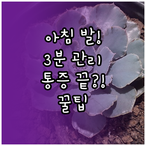아침 첫걸음 통증 줄이는 족저근막염 ..