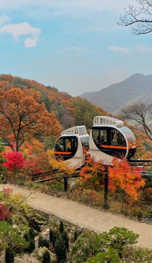 2025년부터 화담숲 예약하기