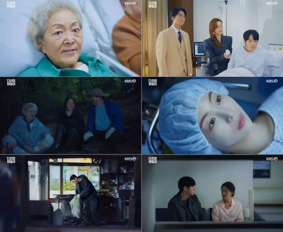 다리미 패밀리